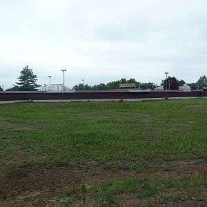 Wildebeest/Ostrich/Grant's Zebra Exhibit