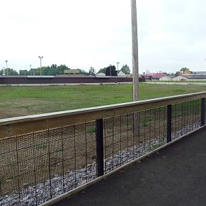 Wildebeest/Ostrich/Grant's Zebra Exhibit