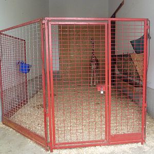 Baby Giraffe Exhibit