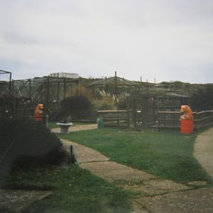 Sandown Zoo Feb 1998.