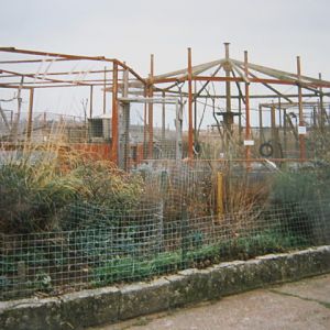 General view - primate enclosures 1998.