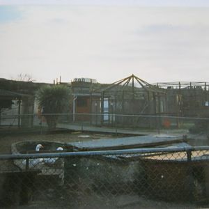 General view Sandown Zoo Feb 1998.
