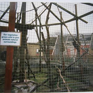 Black-Spider Monkey cage 1998.