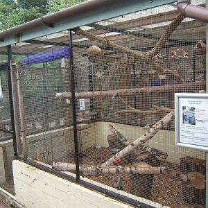 British Wildlife Rescue Centre at Amerton Farm