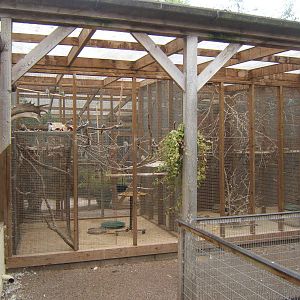 British Wildlife Rescue Centre at Amerton Farm