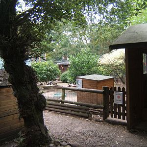 British Wildlife Rescue Centre at Amerton Farm