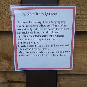 Sign about the New Singing Dog