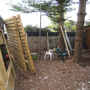 New Racoon enclosure construction