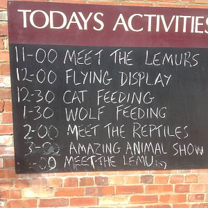 Timetable of days events. 15-8-14