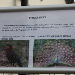 New signage, 8th September 2014