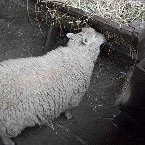 April is hungry again, 8th September 2014