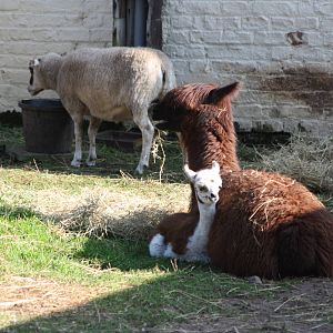 A peaceful scene, 10th September 2014