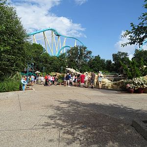 General View of Pacific Point Preserve at SeaWorld Orlando