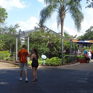 Wading Birds Aviary Near Shark Encounter at SeaWorld Orlando