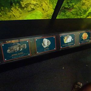 Underwater Tunnel Signs at SeaWorld Orlando