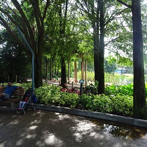 Flamingo Exhibit at SeaWorld Orlando