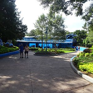 General View of the Shamu Underwater Viewing Area at SeaWorld Orlando