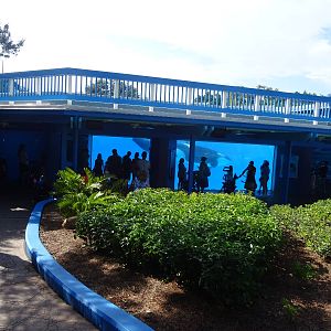General View of the Shamu Underwater Viewing Area at SeaWorld Orlando