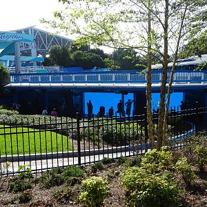 General View of the Shamu Underwater Viewing Area at SeaWorld Orlando
