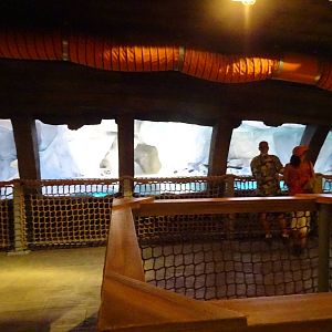 Beluga Whale Exhibit Viewing Area at SeaWorld Orlando
