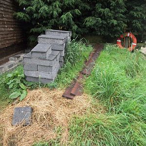 Area for new pond with underwater viewing, 6th September 2014