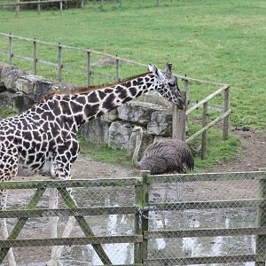 Lost Kingdom housing yards area, 1st September 2014