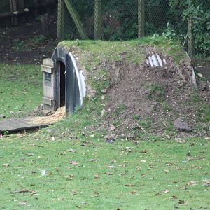 Shelter in South American exhibit, 1st September 2014