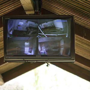 CCTV screen for viewing of Sumatran Tiger mother and cubs, 1st September 20