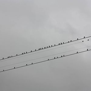 Summer is nearly over, 1st September 2014