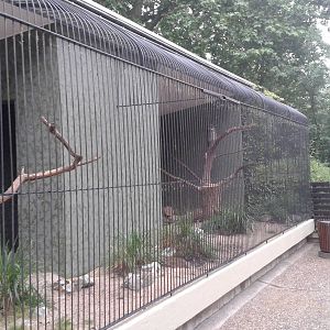Verreaux"s eagle owl aviary