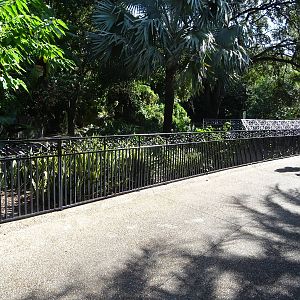 American Alligator Exhibit at Busch Gardens Tampa