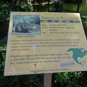 American Alligator Sign at Busch Gardens Tampa