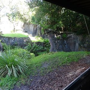 Chimpanzee Exhibit at Busch Gardens Tampa