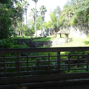 Chimpanzee Exhibit at Busch Gardens Tampa