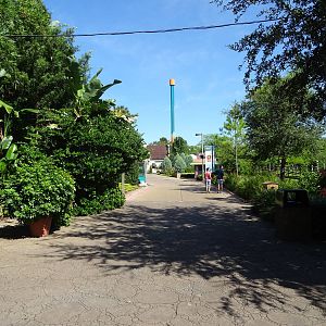 General View of Busch Gardens Tampa