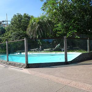Otter Exhibit at Busch Gardens Tampa