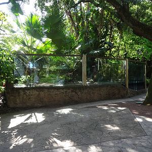 Freshwater Turtle Exhibit at Busch Gardens Tampa