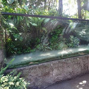 Carnivorous Plant Exhibit at Busch Gardens Tampa