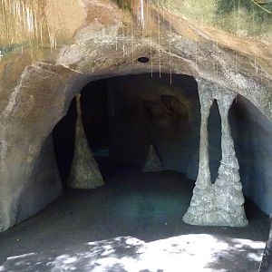Entrance to Curiosity Caverns at Busch Gardens Tampa