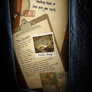 Curiosity Caverns Signage Example at Busch Gardens Tampa