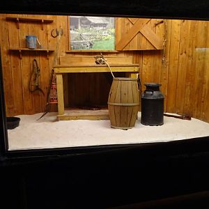 Honduran Milk Snake Exhibit at Busch Gardens Tampa