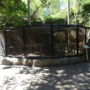 Bald Eagle Exhibit at Busch Gardens Tampa