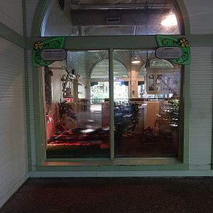 American Alligator / Echidna Exhibits at Busch Gardens Tampa