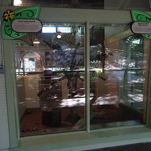 Two-Toed Sloth / Three Banded Armadillo Exhibits at Busch Gardens Tampa