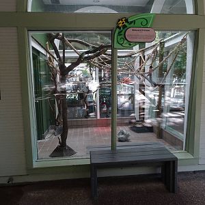 Burmese Python Exhibit at Busch Gardens Tampa
