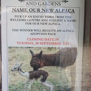 Competition signage, 12th September 2014