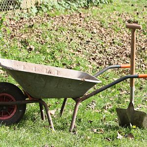 Just time to sweep some leaves, 12th September 2914