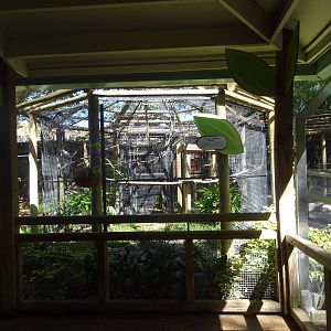 White-Necked Raven Aviary at Busch Gardens Tampa