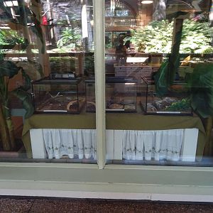 Insect Exhibits at Busch Gardens Tampa