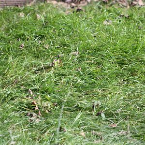 Now they have gone, 12th September 2014